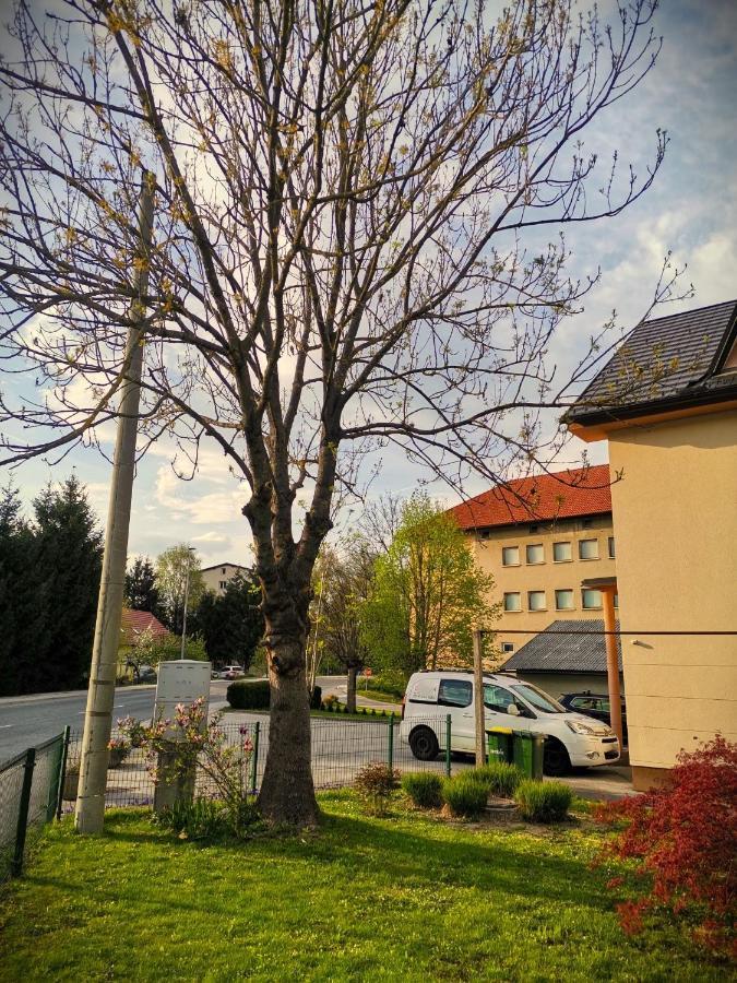 Apartma Vila Tara Prebold Exterior foto